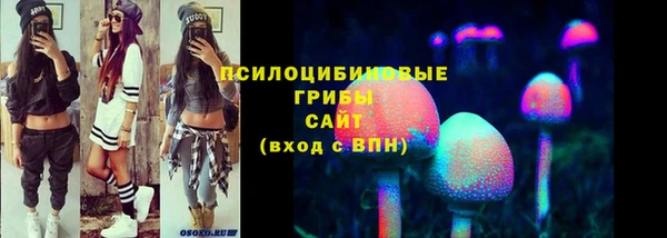 jwh Каменногорск