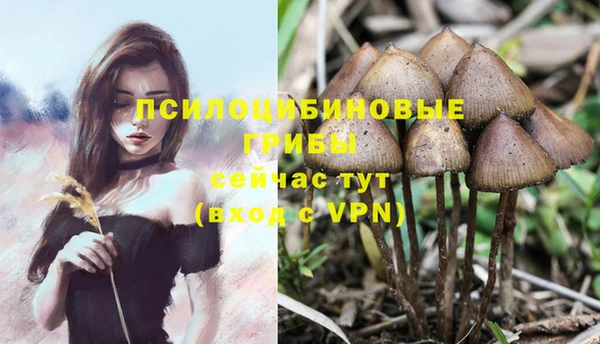 2c-b Каменка