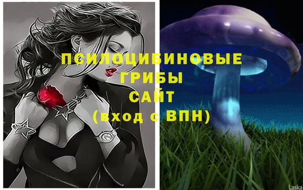 jwh Каменногорск